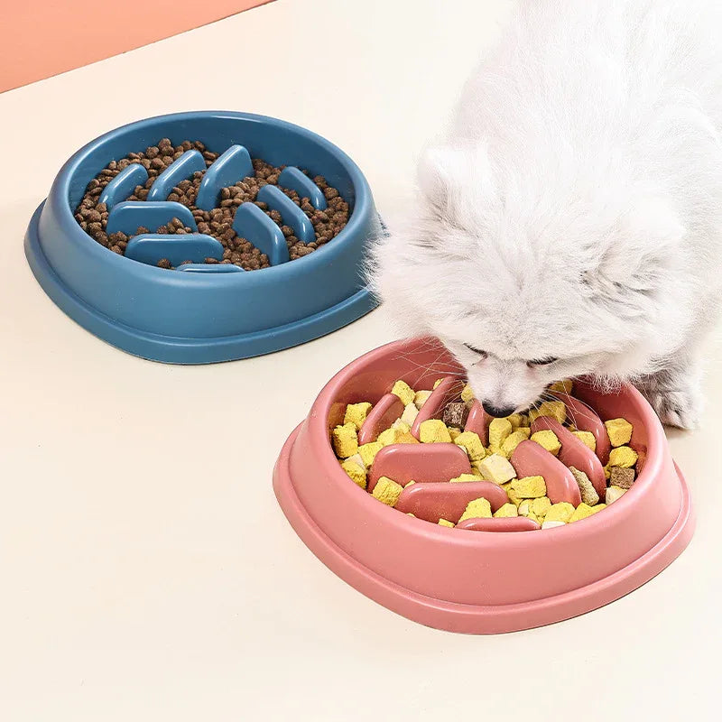 Slow Feeding Anti-Choking Pet Bowl For Cats & Dogs