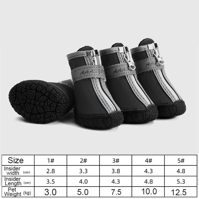 Hundeschuhe für heißen Asphalt