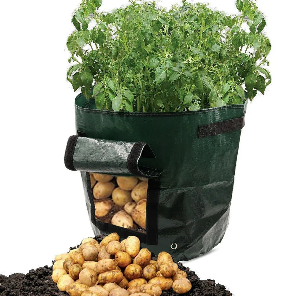 PE Cloth Garden Planting Cultivation Plant Bag