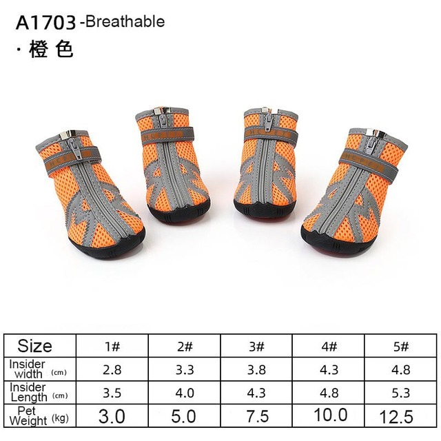Hundeschuhe für heißen Asphalt