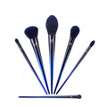 Eye and Face Loose Powder High Gloss Blush Smudge Makeup Brush Set