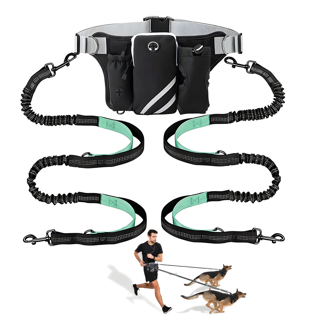 Dog Walking Waist Pack or Leash