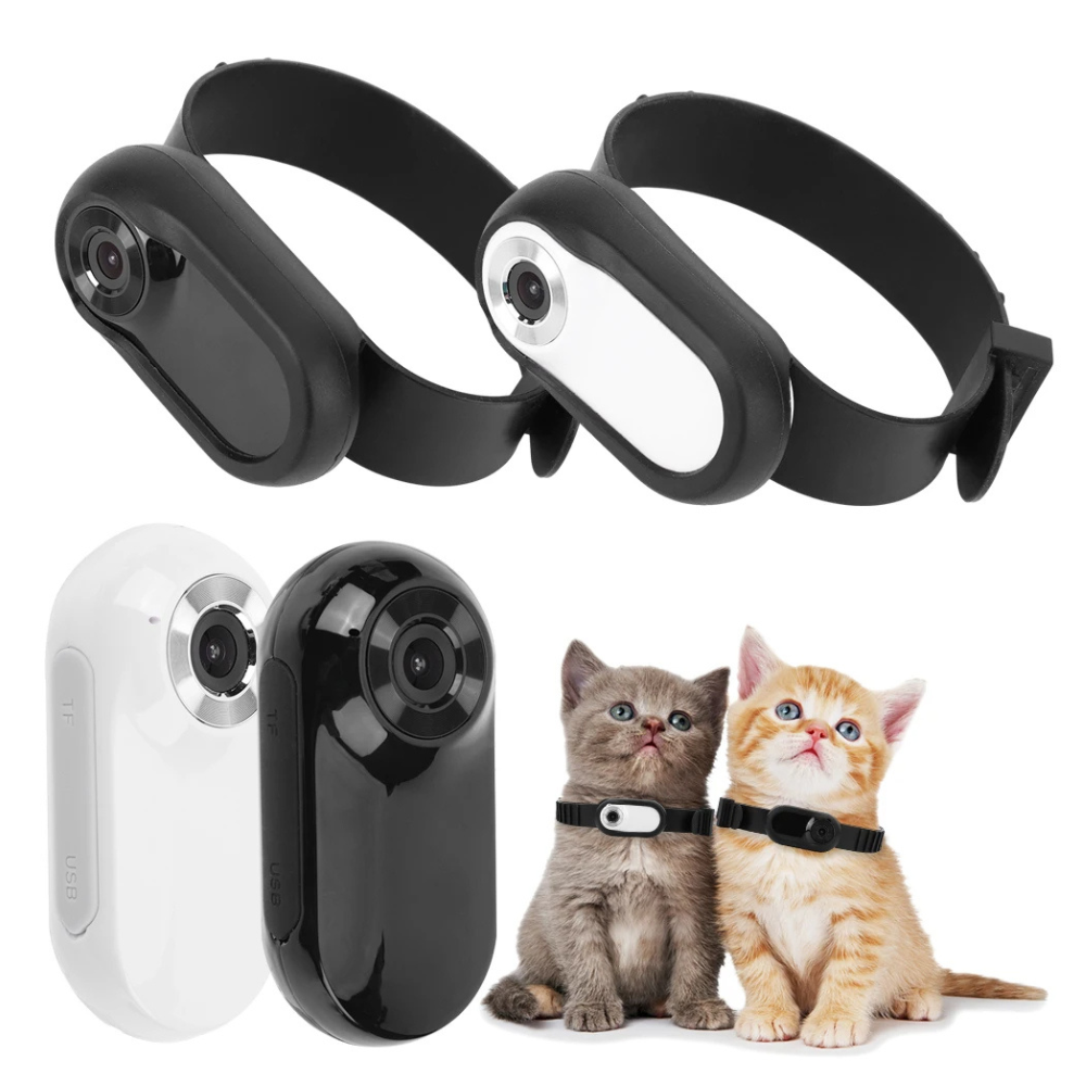 Kamerahalsband für Katzen und Hunde