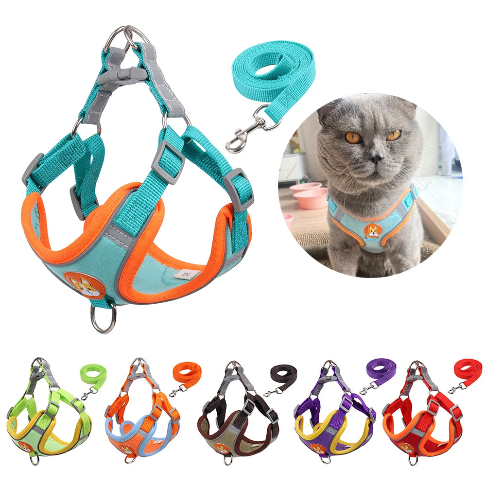 Set aus Katzengeschirr und Leine