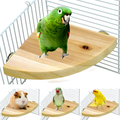 Bird Cage Perch