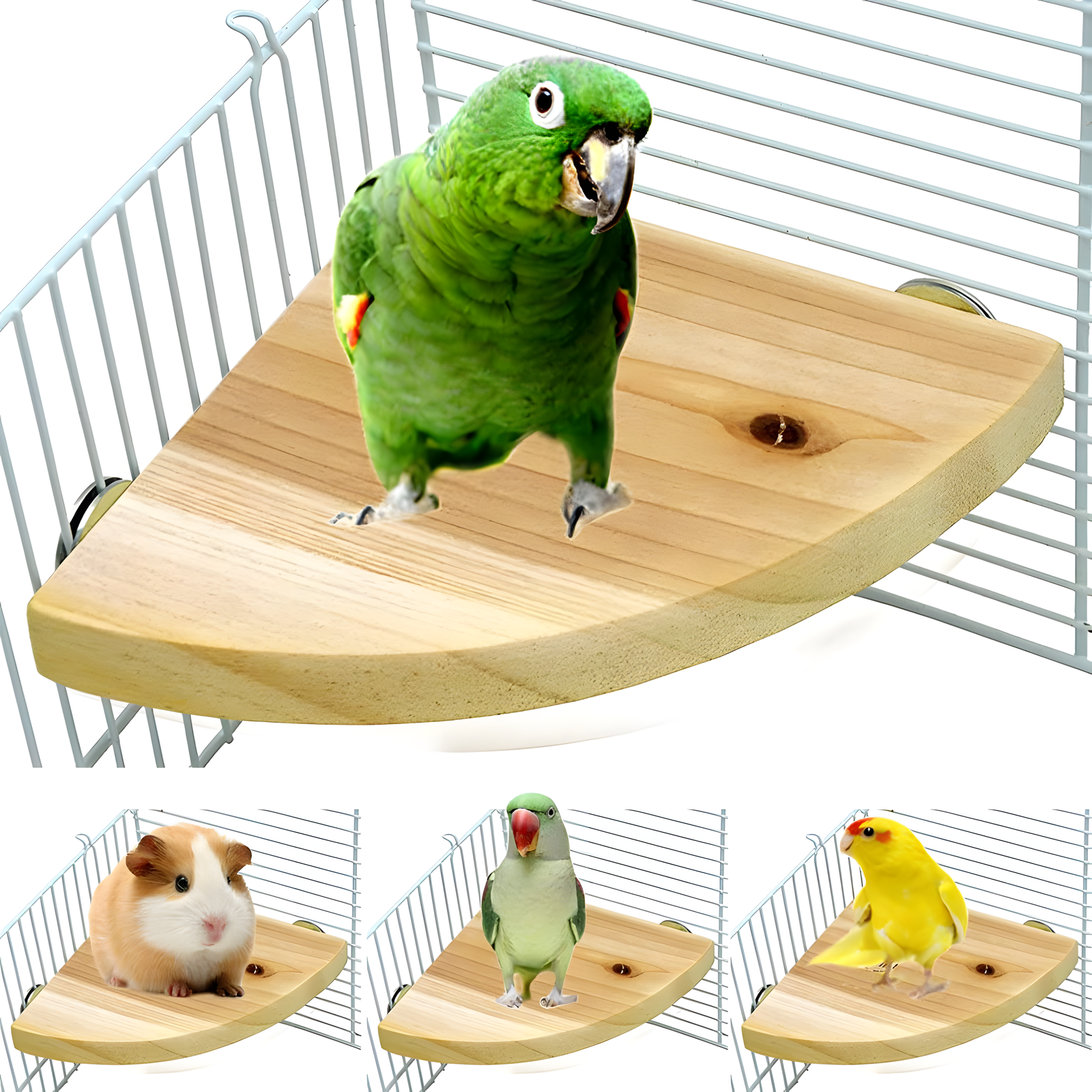 Bird Cage Perch