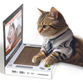 Katzenkratzbrett Laptop