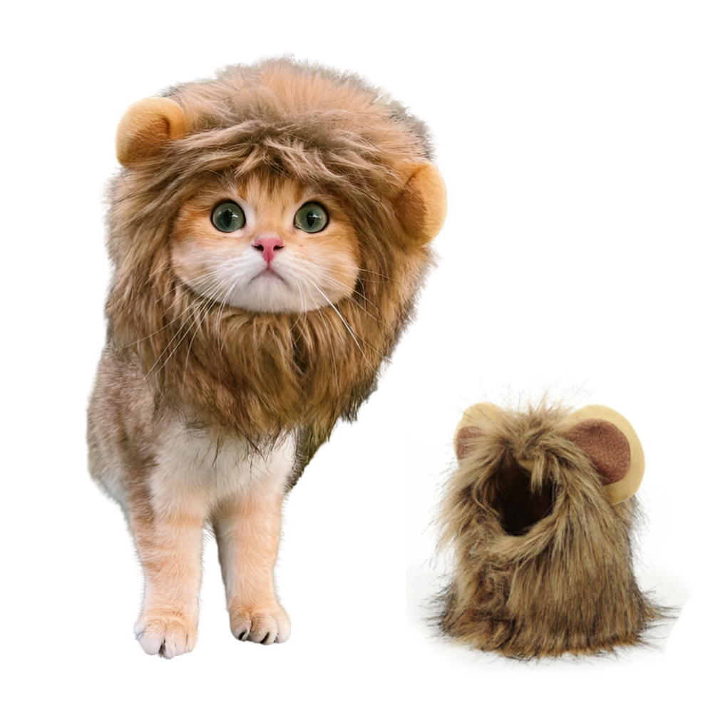 Katzenlöwenmähne