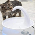Trinkbrunnen für Katzen