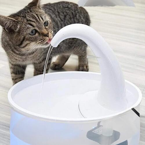 Trinkbrunnen für Katzen