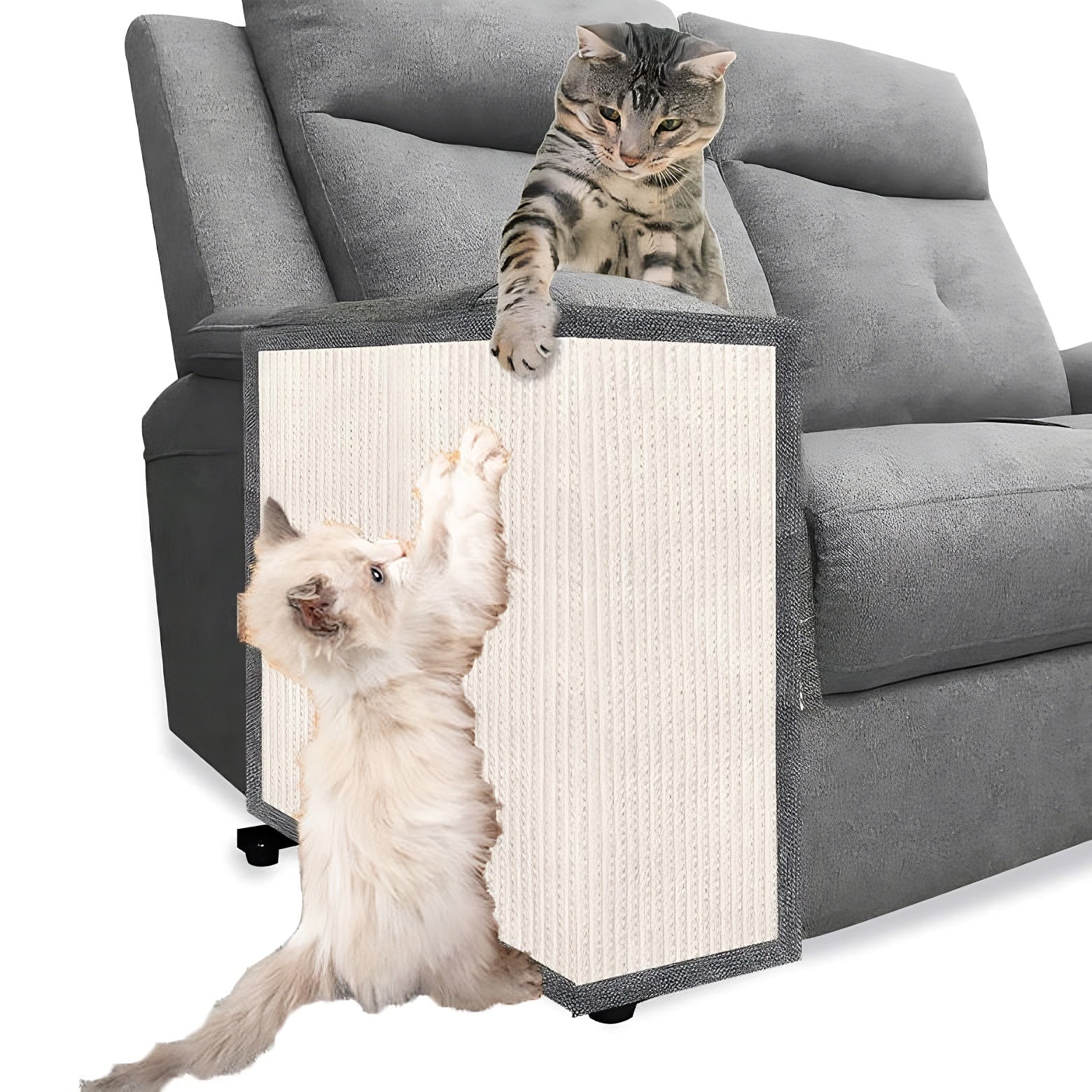 Katzenkratzschutz für Sofa