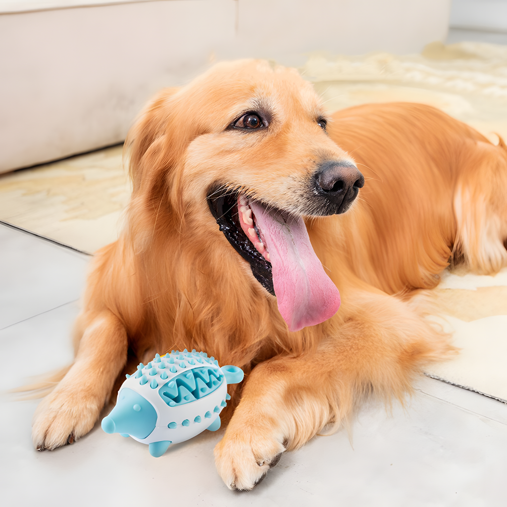 Hedgehog Treat Dispensing Dog Toy