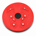 Magnetic Waist Twister