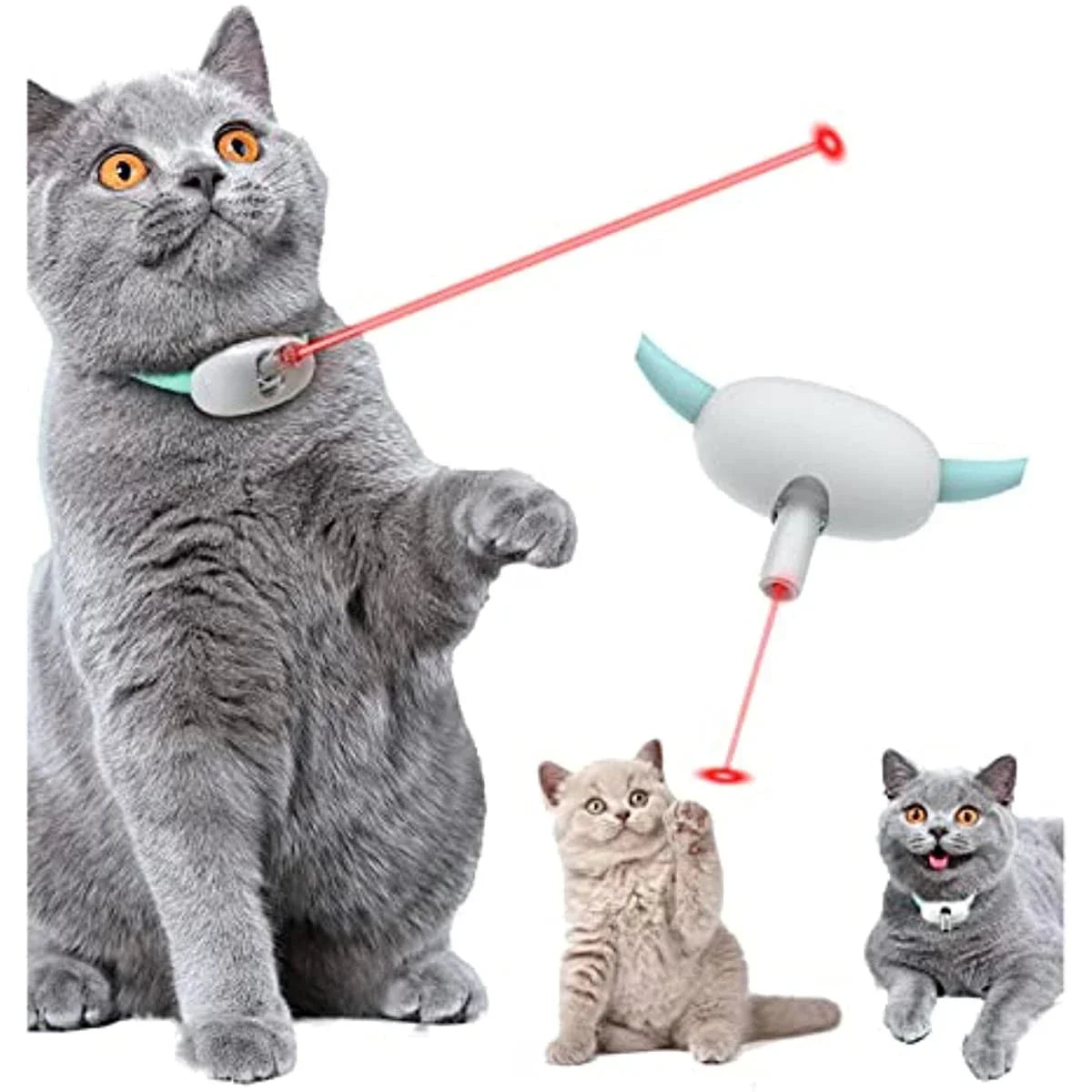 Laserhalsband für Katzen