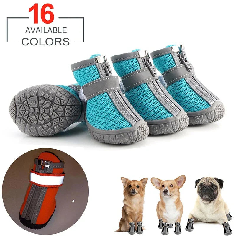 Hundeschuhe für heißen Asphalt