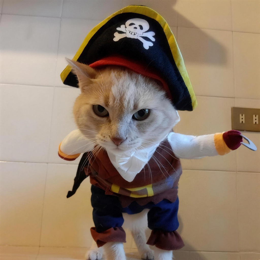 Pirate Pet Costume