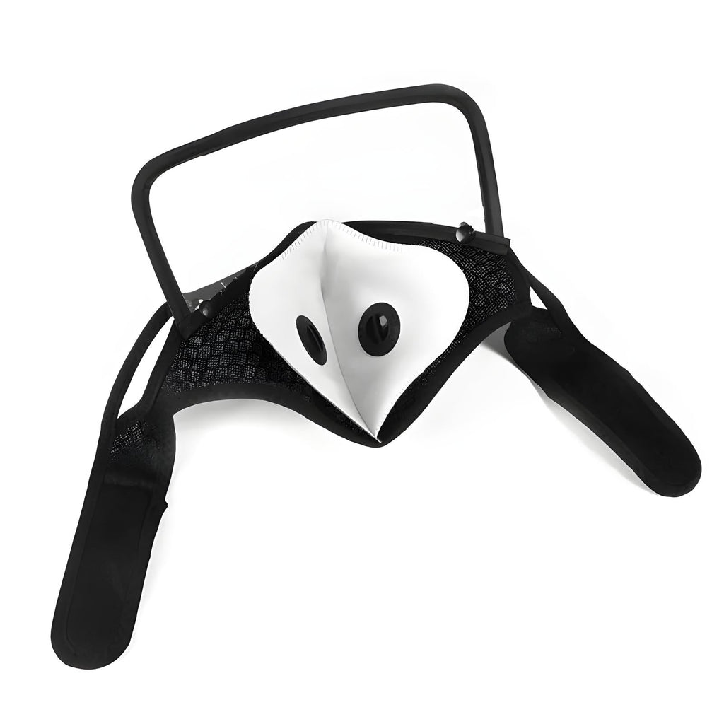 Face Mask with Goggles