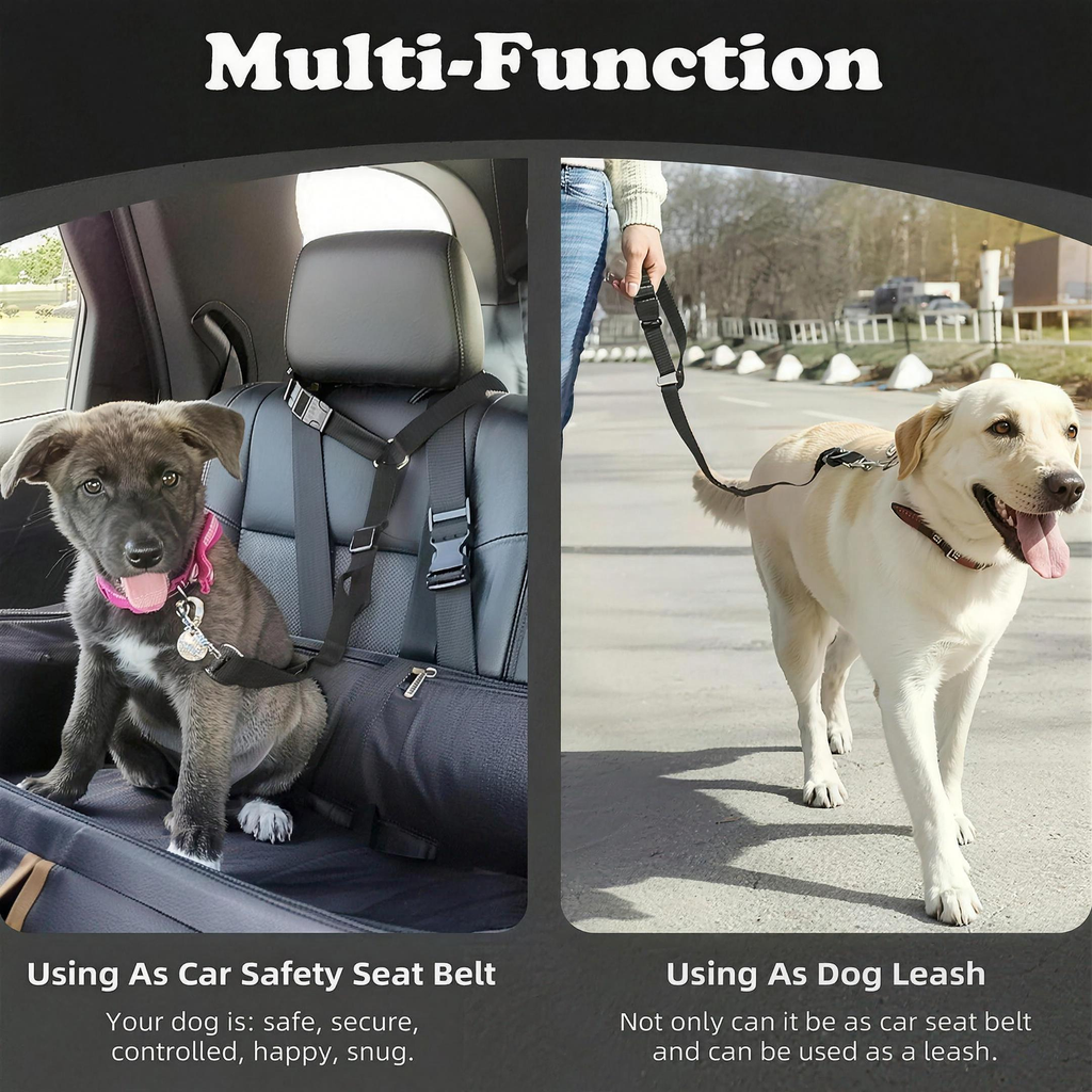 Dog Car Seat Belt