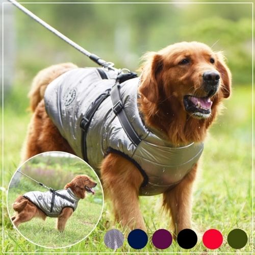 Wasserdichte Hundegeschirrjacke