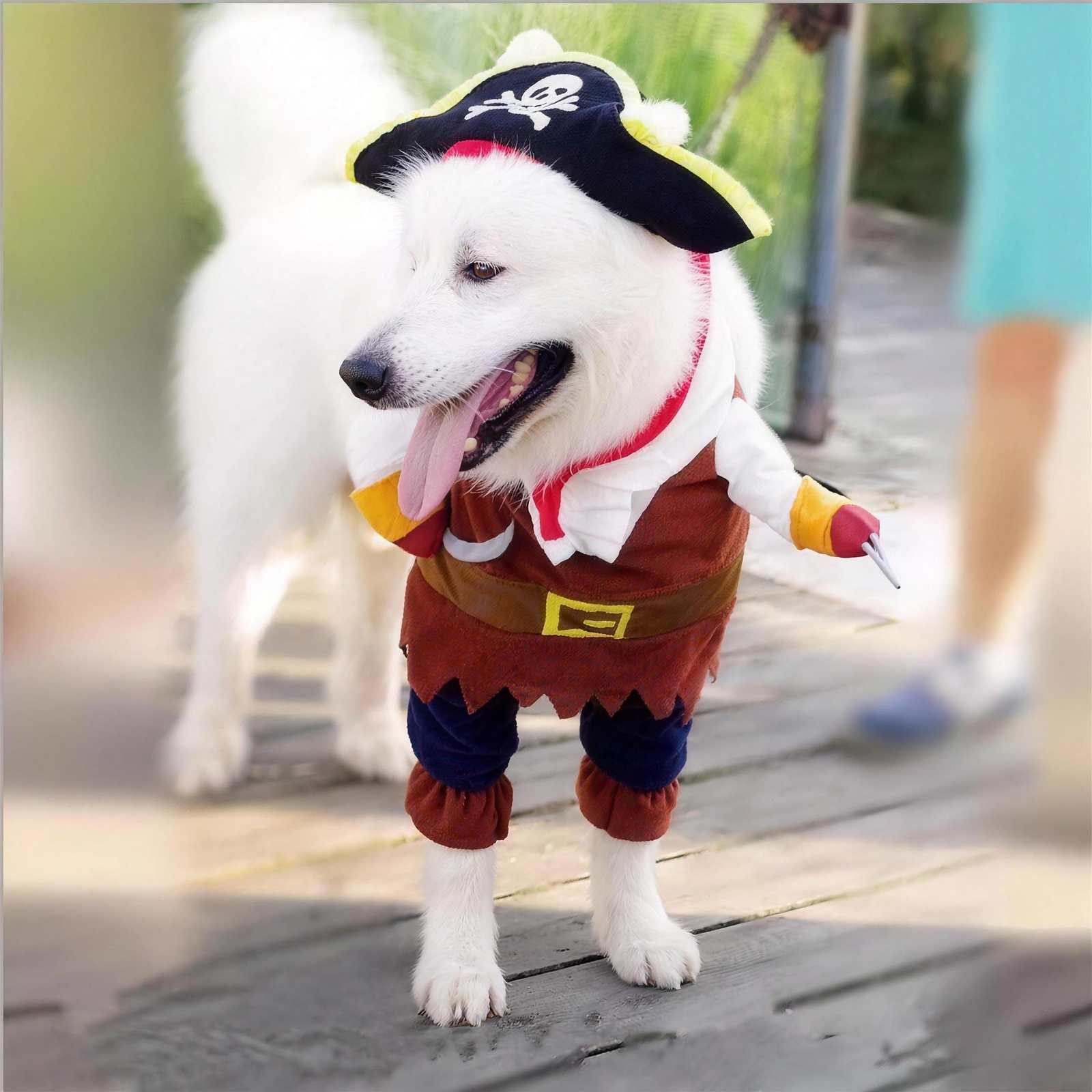 Pirate Pet Costume