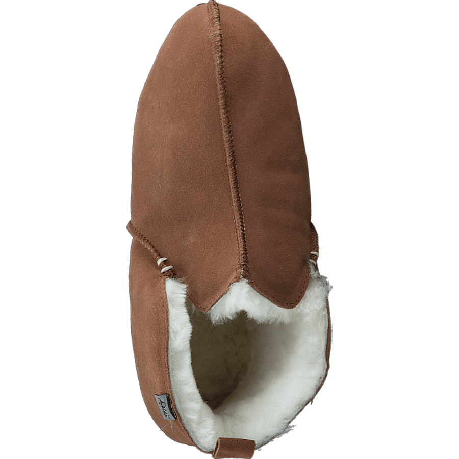 Innsbruck Chestnut