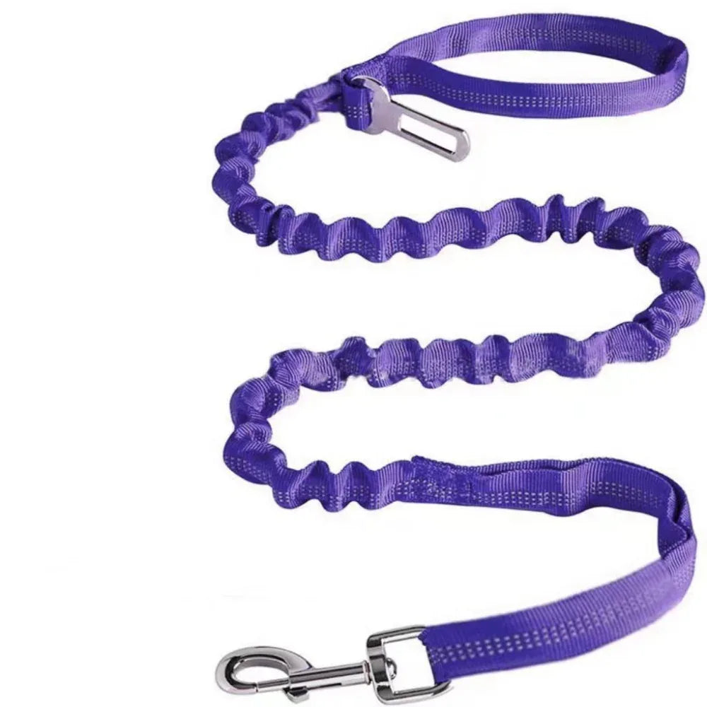 Durable Dog Reflective Polyester Pet Leash