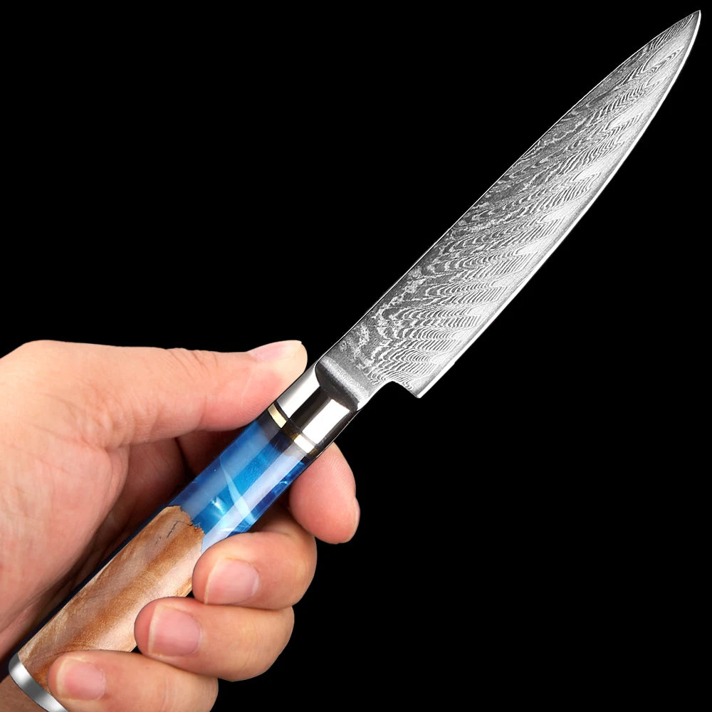 5 Zoll kleines Küchenmesser aus VG10 Damaststahl