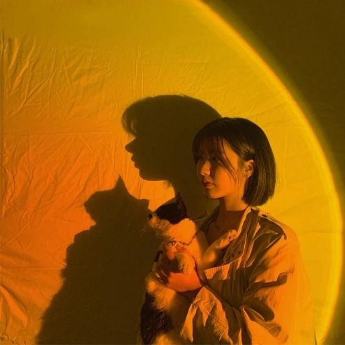 Sonnenuntergangsprojektorlampe