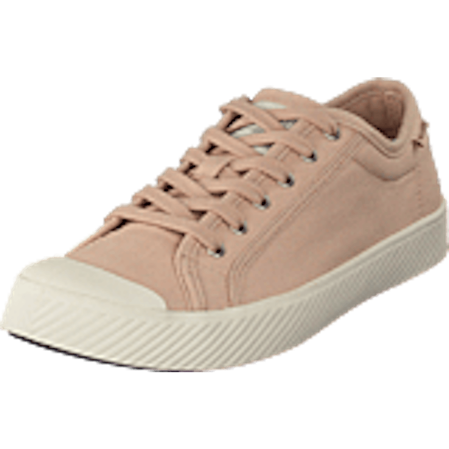Pallaphoenix Og Cvs Rose Dust