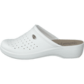 484-0523 White