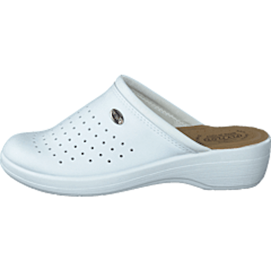 484-0523 White