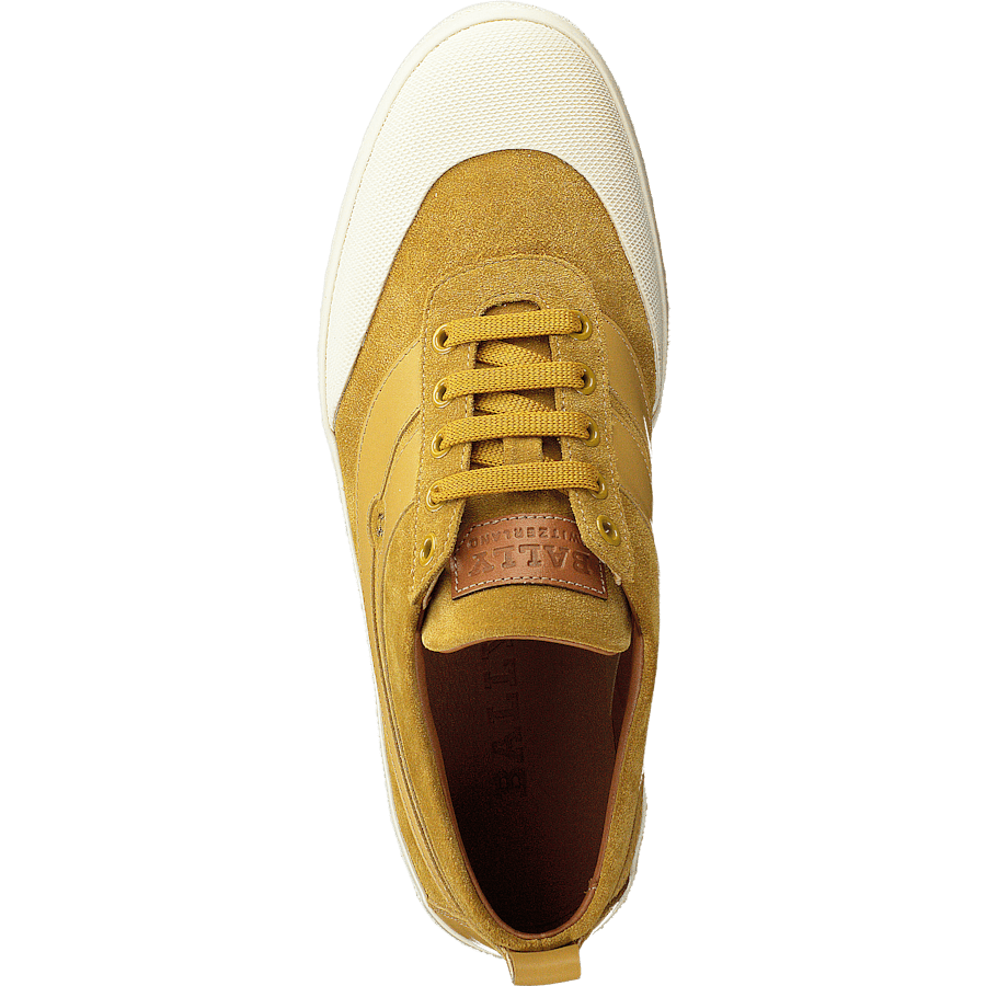 Shennon Gold Sand