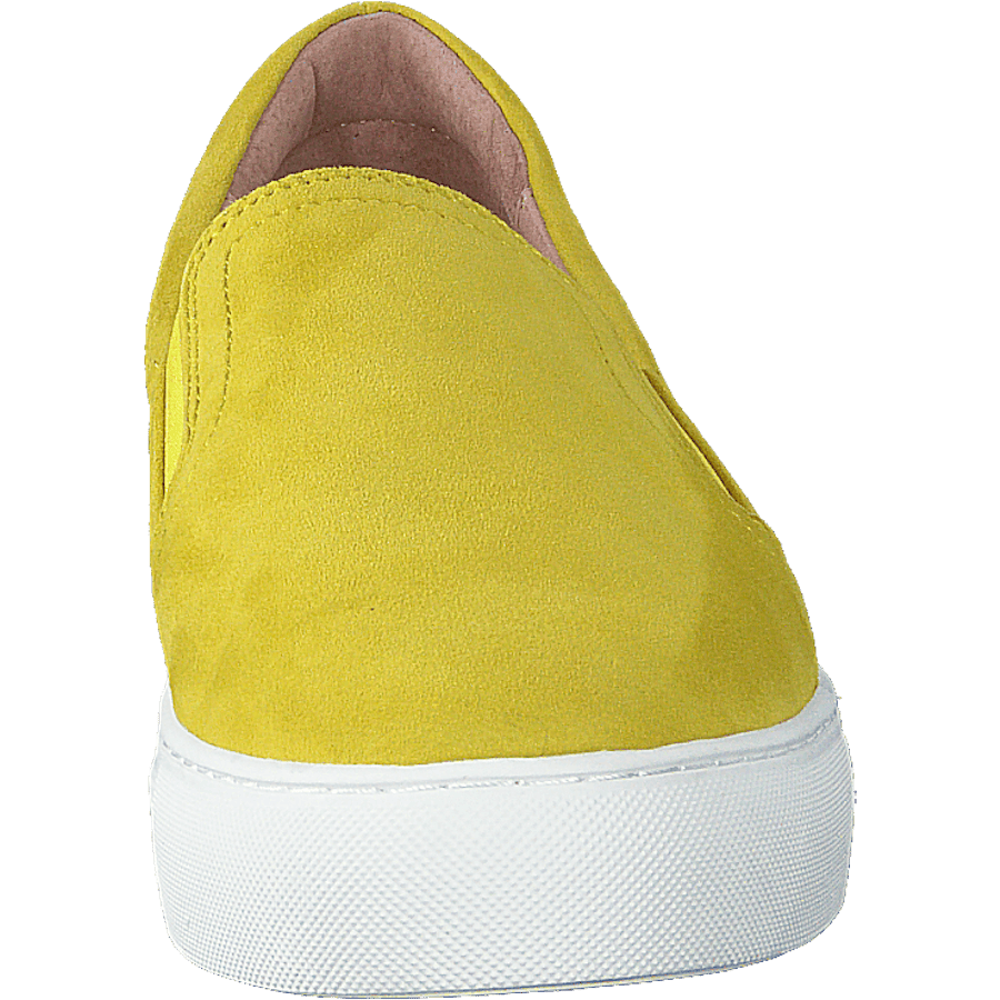 Starlily Yellow