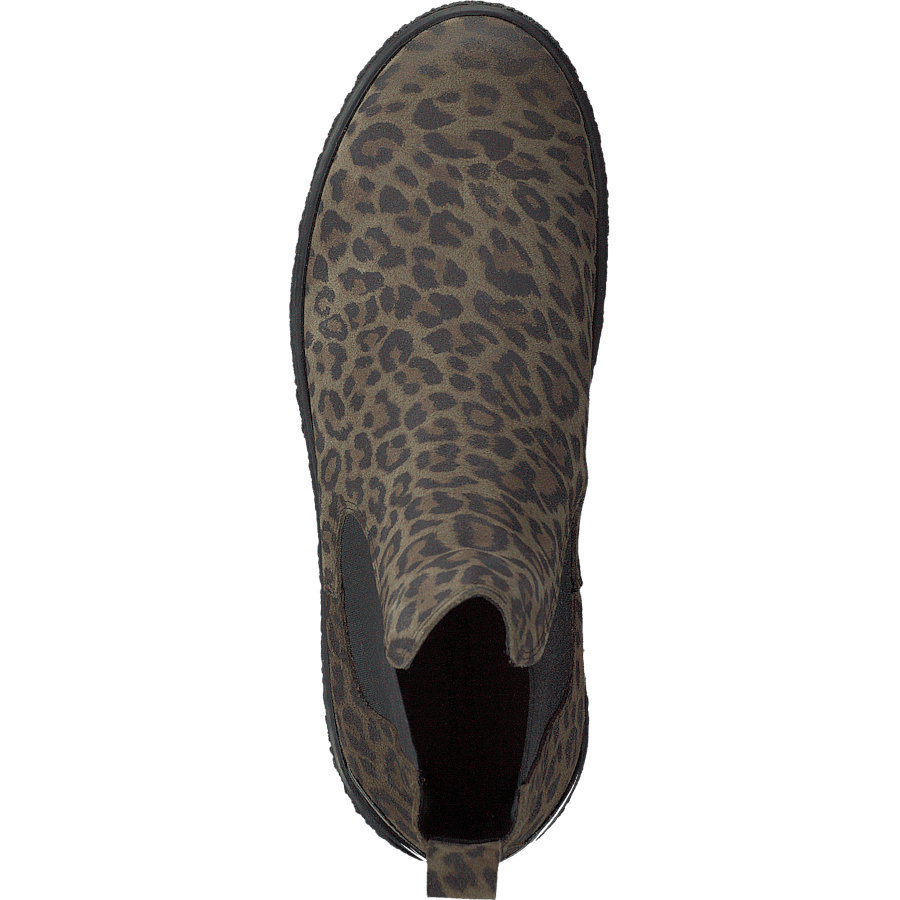 Shallow Olive Leo