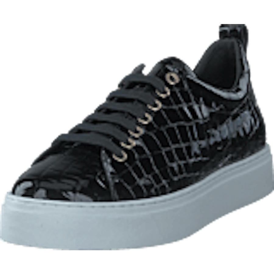 Coacig Blanco Boston Zafiro Negro