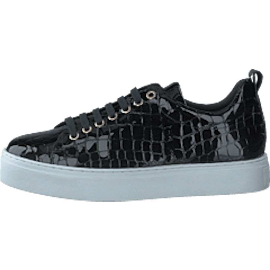 Coacig Blanco Boston Zafiro Negro