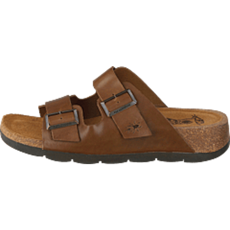 Caja721fly Camel