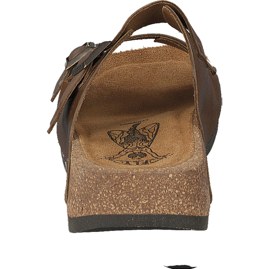 Caja721fly Camel