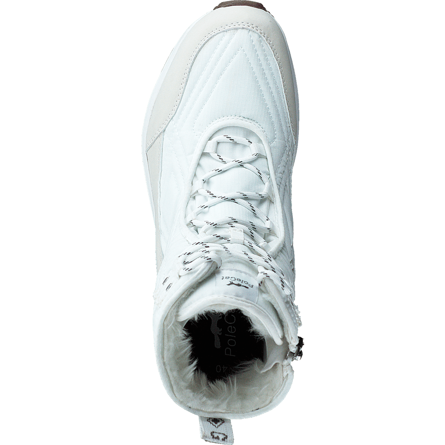 Arena Sapporo Gtx White