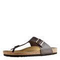 Ramses (normal) Brown