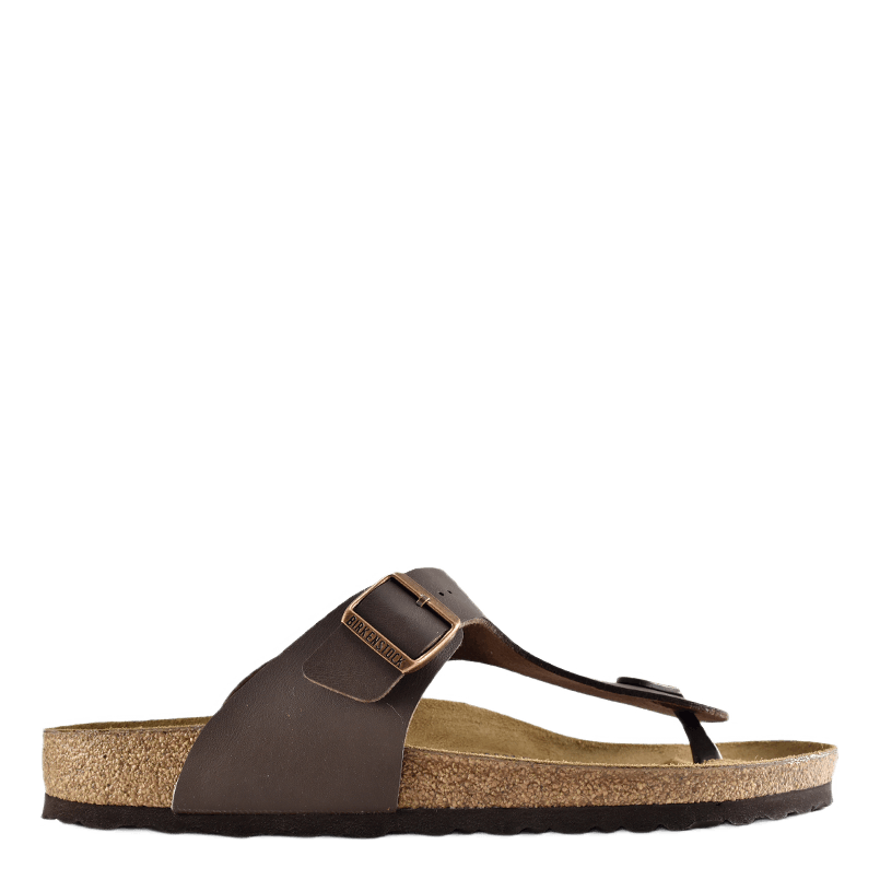 Ramses (normal) Brown