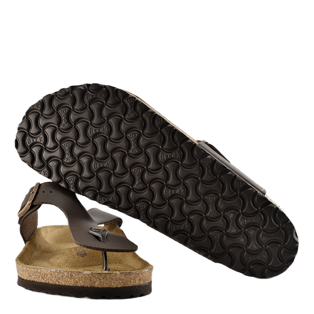Ramses (normal) Brown