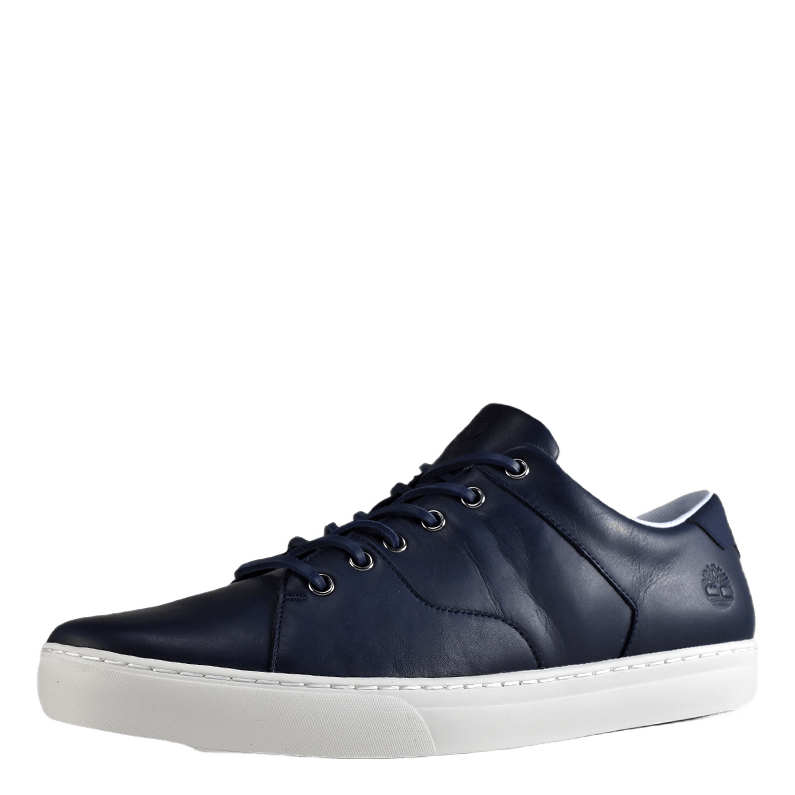 Adventure 2.0 Cupsole Black Iris