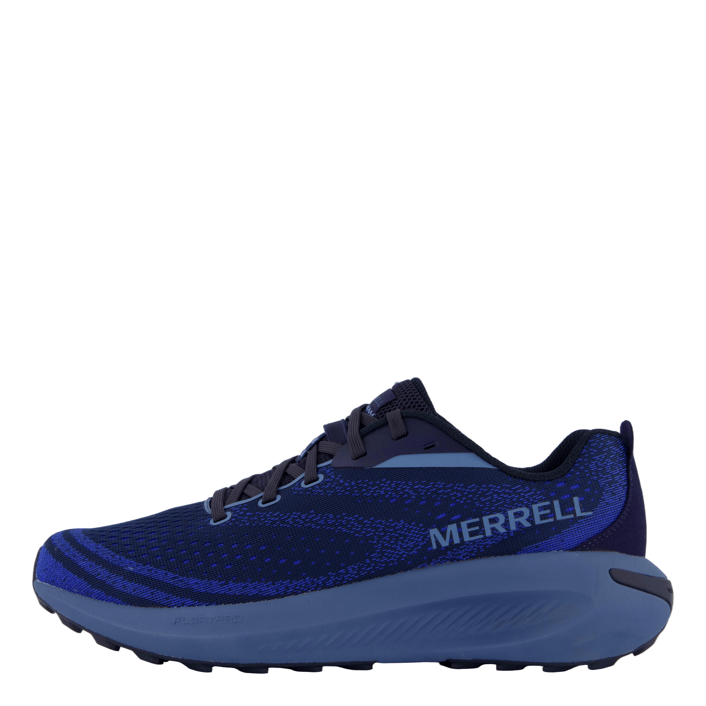 Morphlite Sea/dazzle
