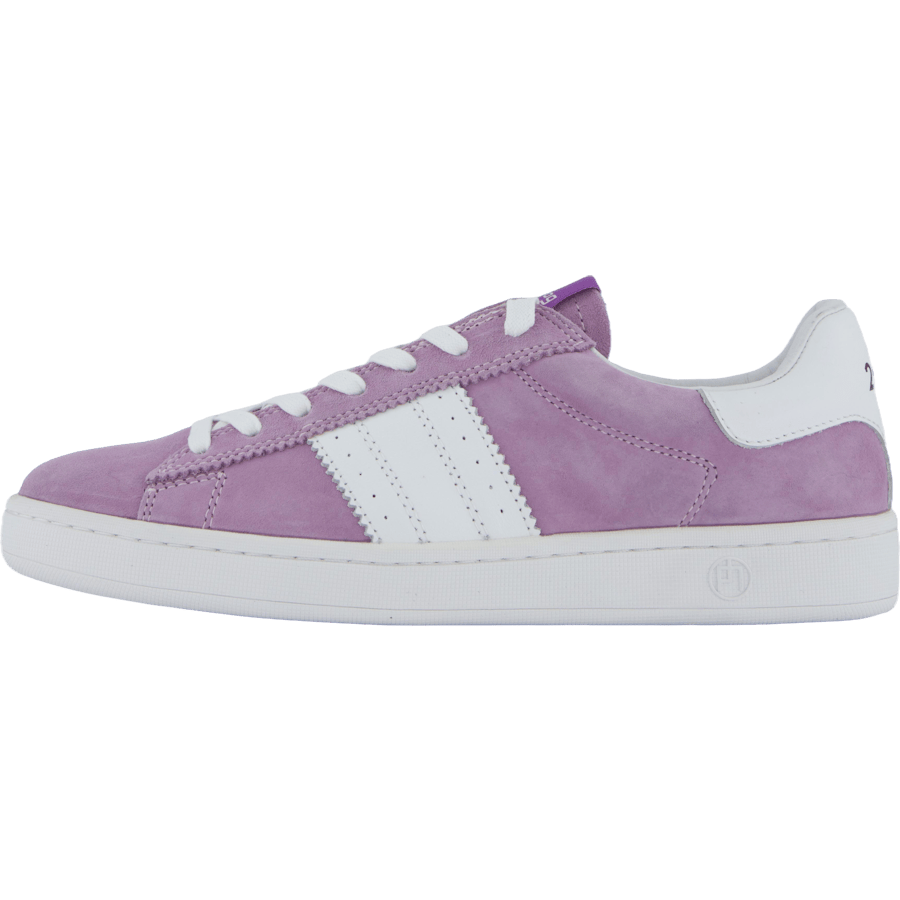 Stella Lilac