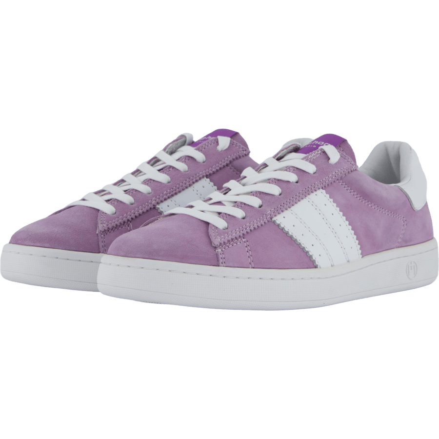 Stella Lilac