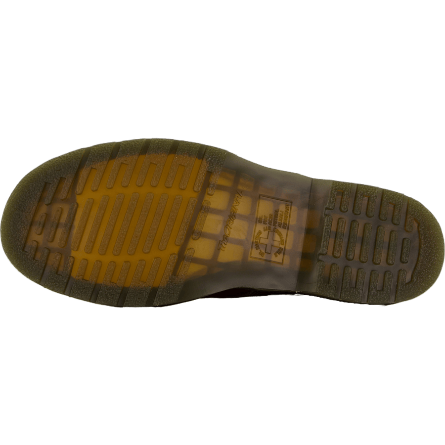 1460 Pascal Cashew Ambassador
