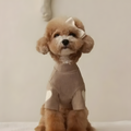 Heart Sweater for Dogs