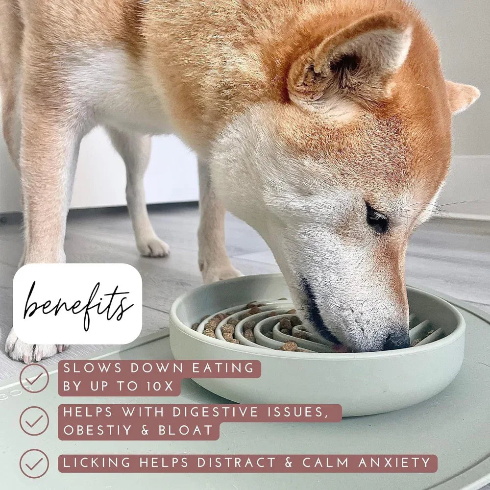 Slowdown Slow Feeder Silicone Pet Dog Bowl