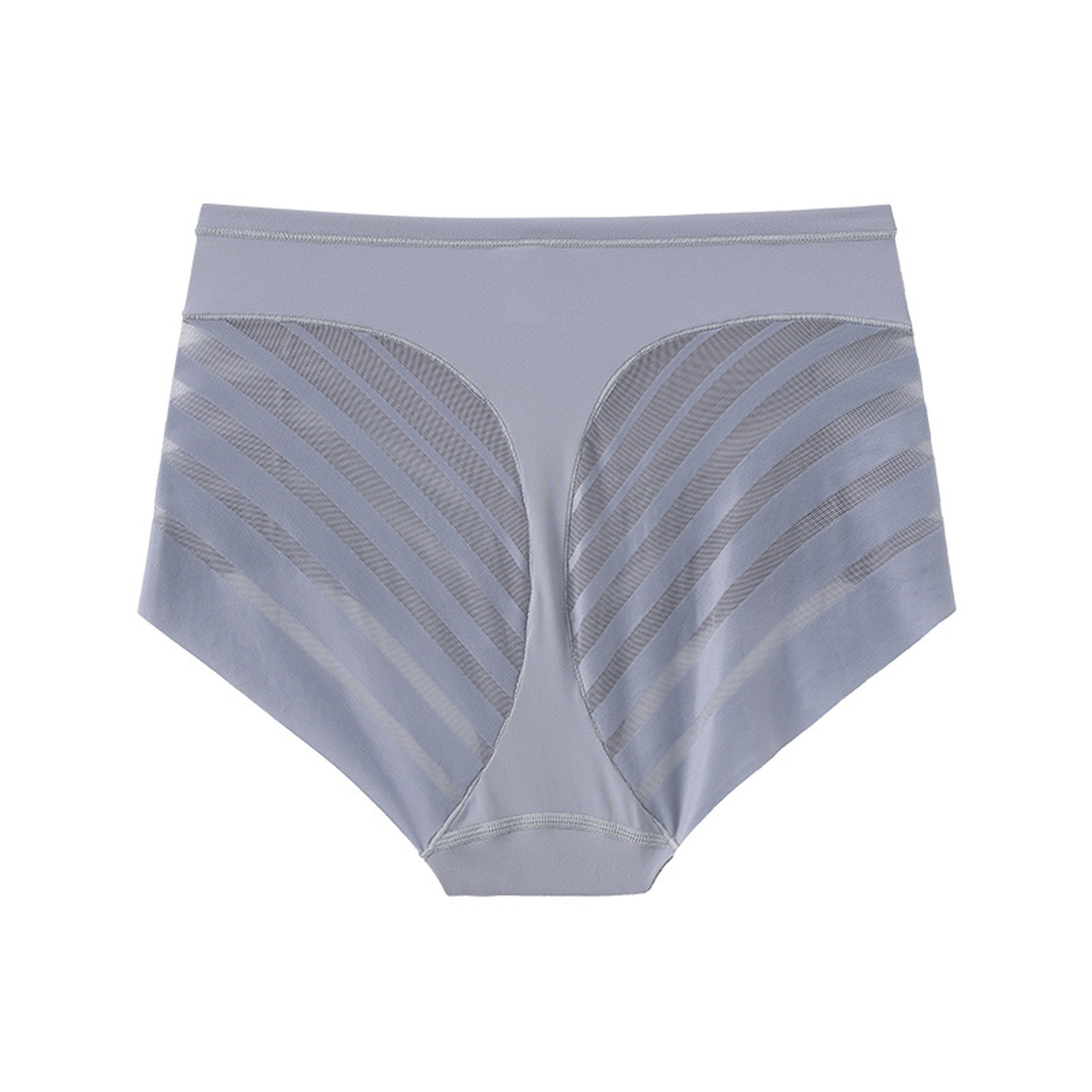 Tummy-Control Mesh Briefs